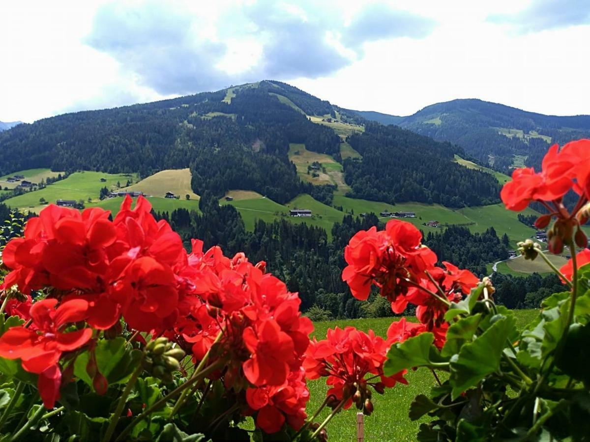 Aussermooserhof Alpbach Exterior foto